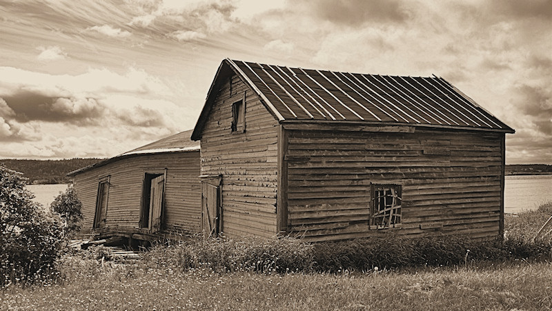 Twillingate and Area Jul-08 003 Sepia