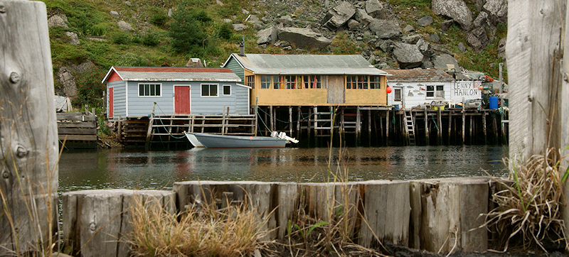 DSC01328 - Quidi Vidi Harbour