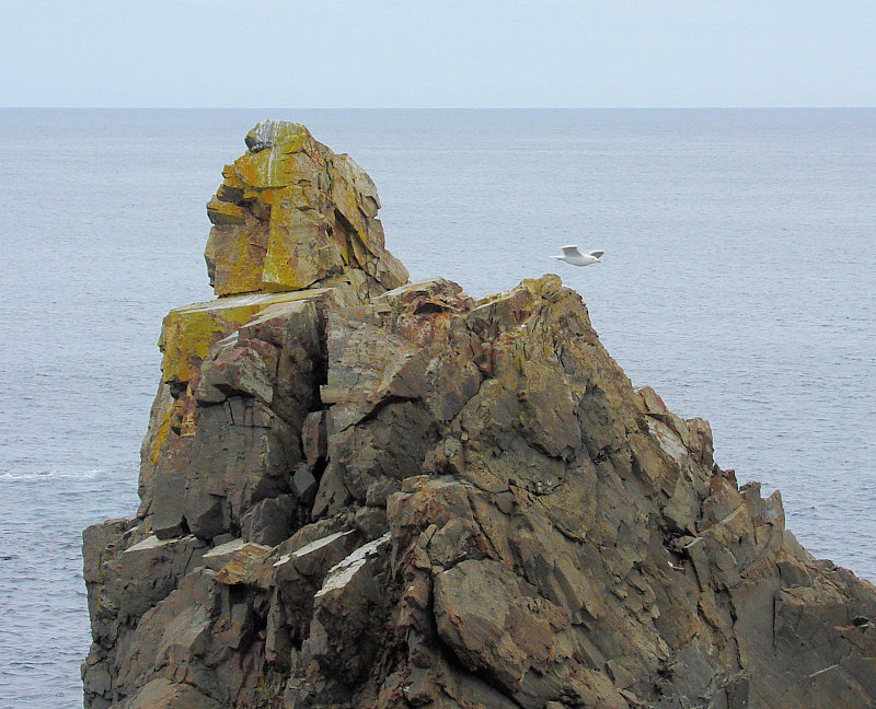 Interesting rock formation off Cape Bonavista