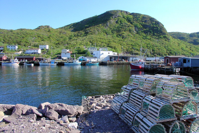 Petty Harbour 001