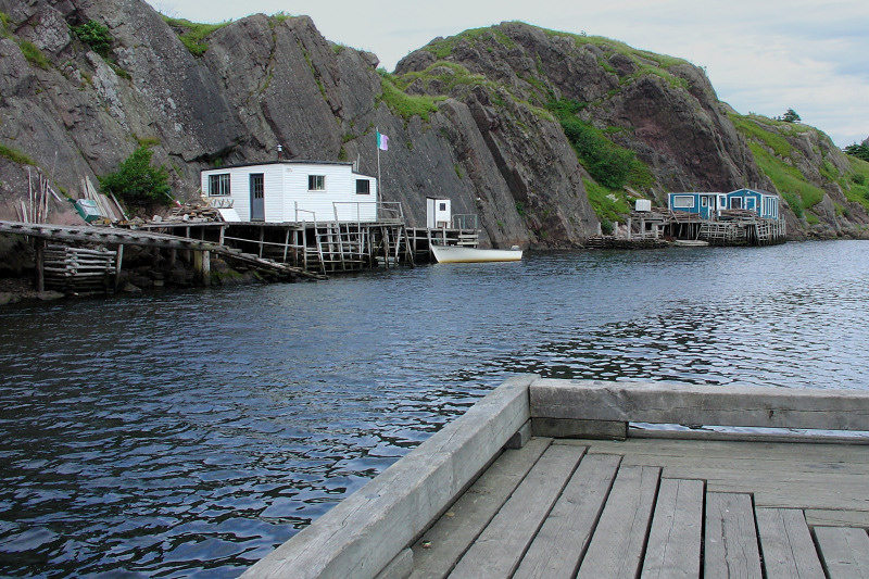 Quidi Vidi 009