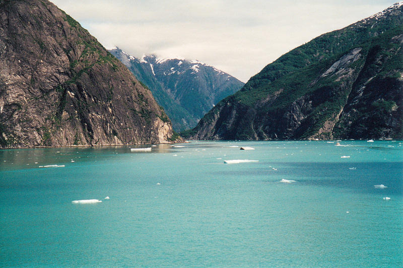 Ice floes in Tracy Arm