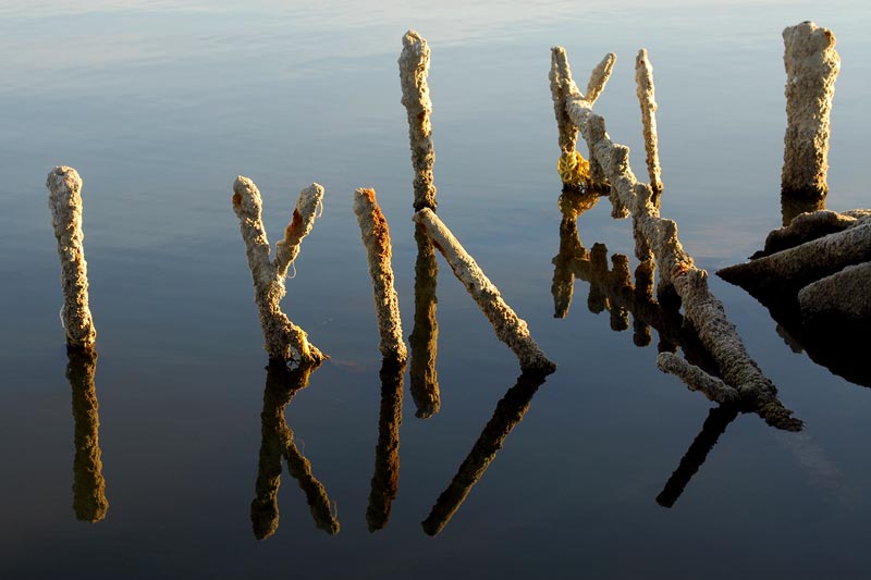 I KILL  -- still water reflections in the Salton Sea