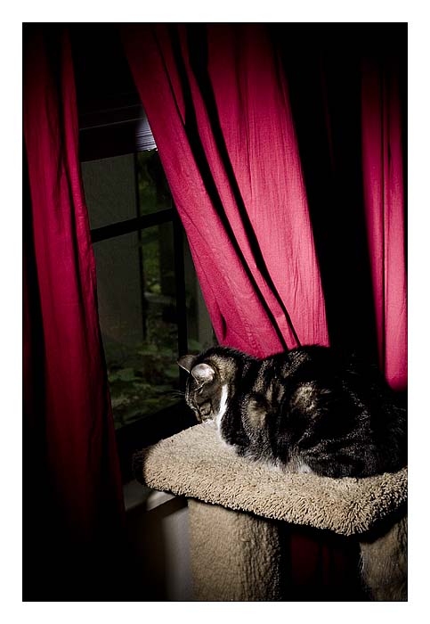 Perched