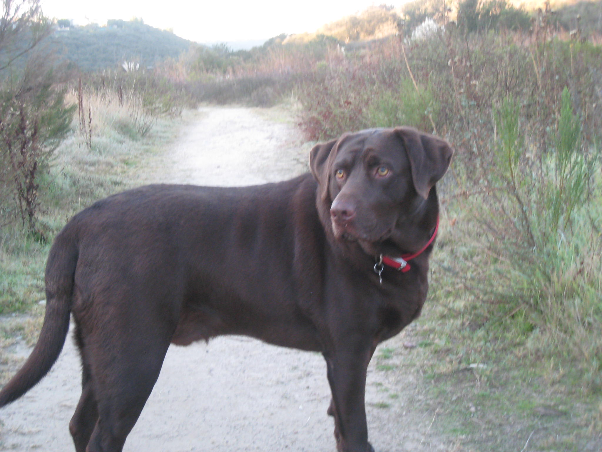 Luke Hiking