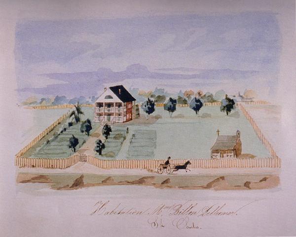 Joseph Billion Delhommer Plantation