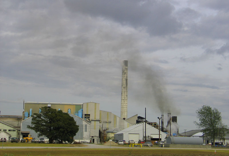 Sugar Refinery in Raceland