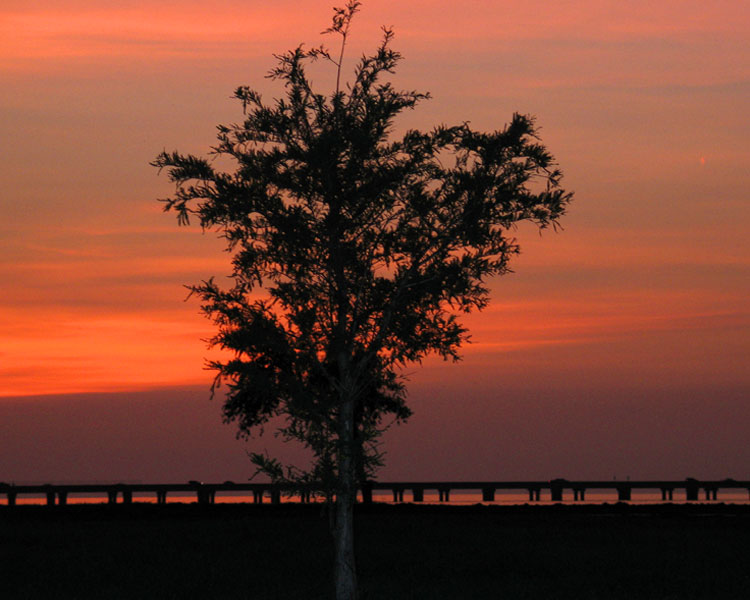 Red Sky at Night