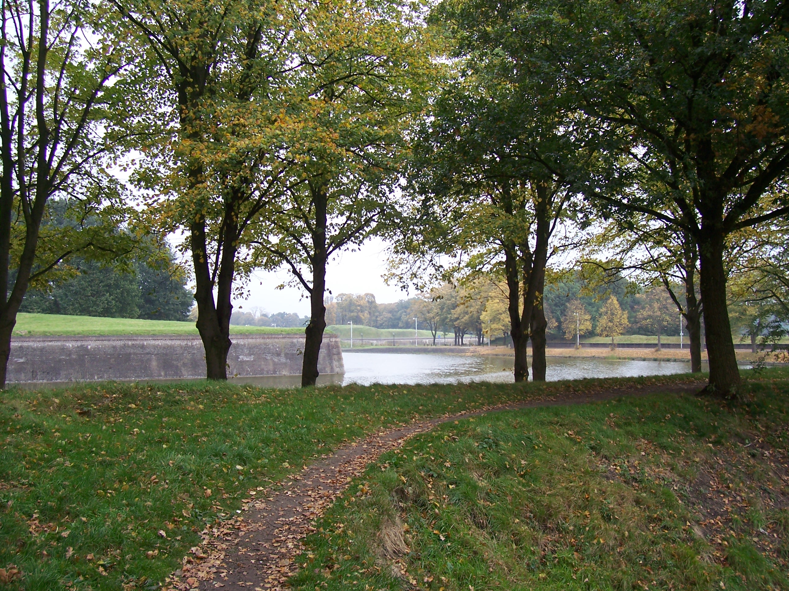 100_5888.JPG