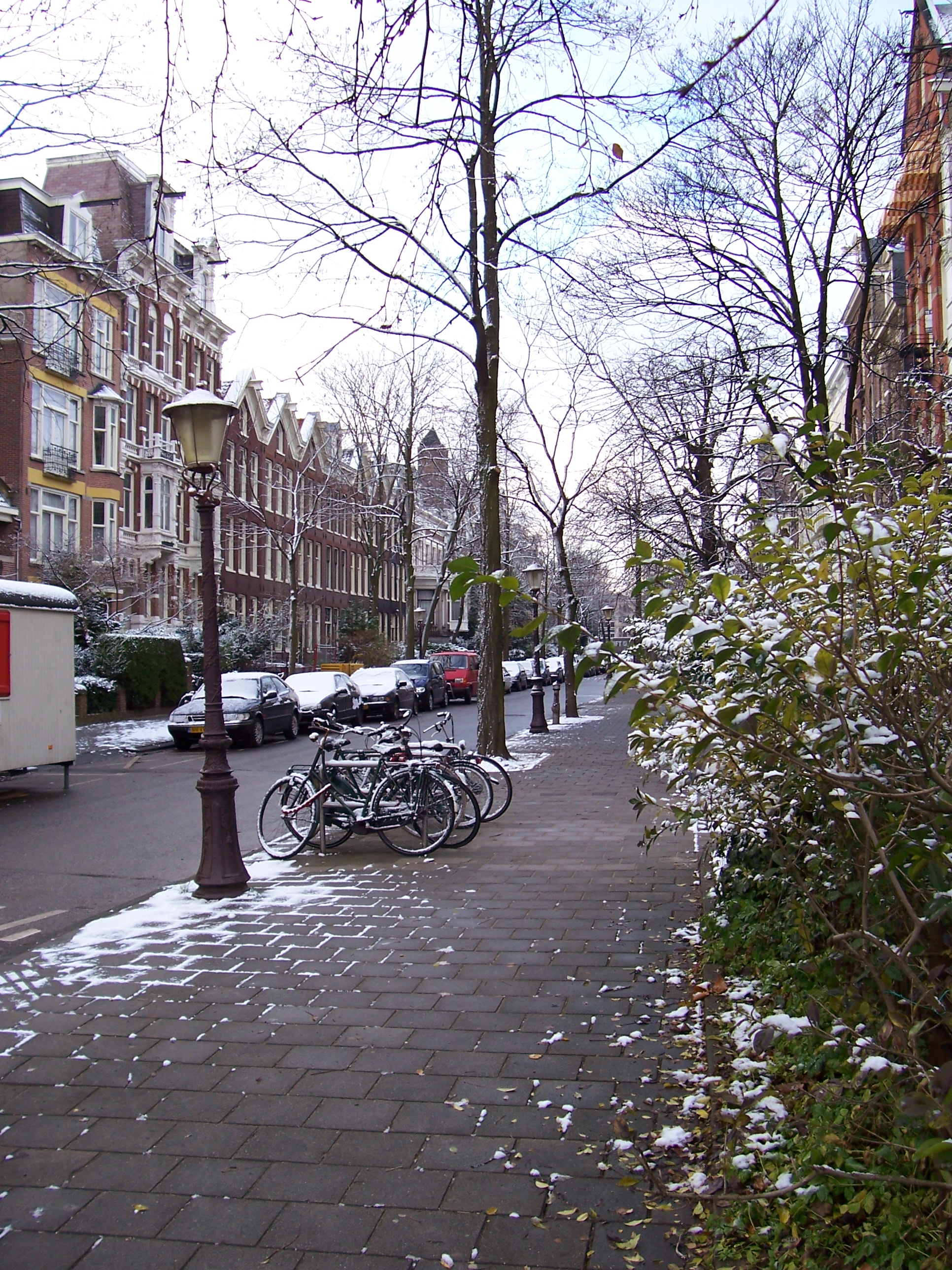 Beautiful-Amsterdam100_0619.JPG