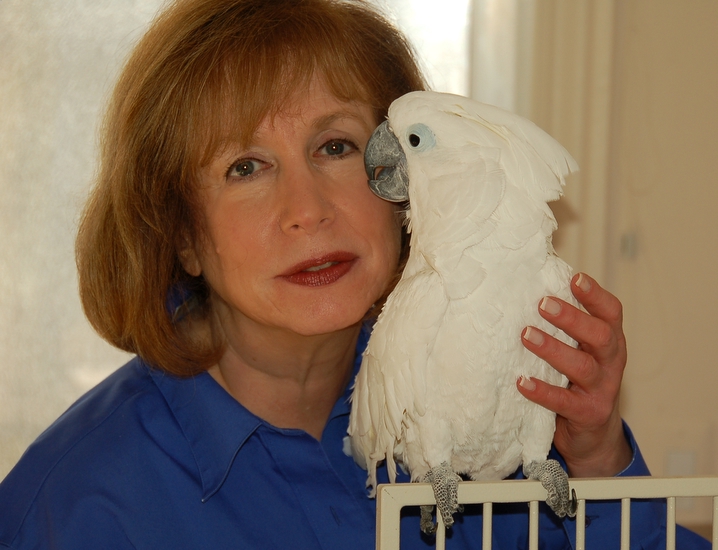 Piedmont, Our Umbrella Cockatoo, With His Adopted Mother