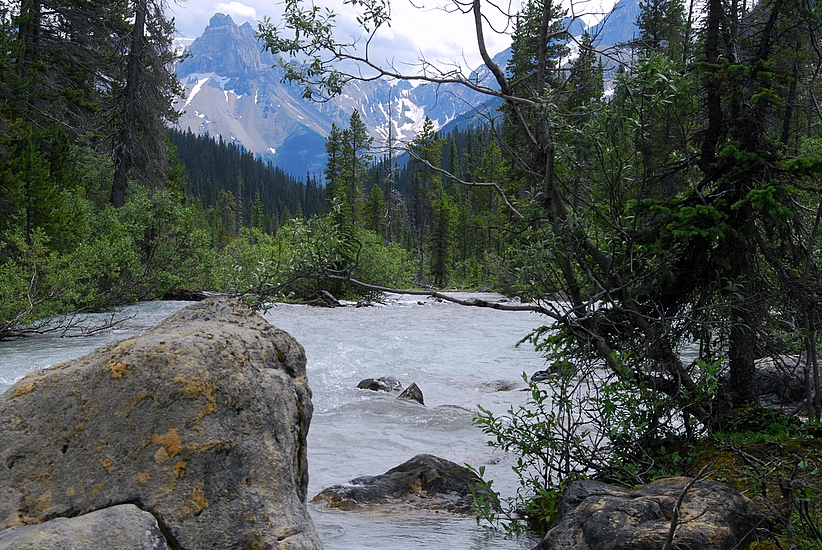 Downriver From Takakkaw Falls