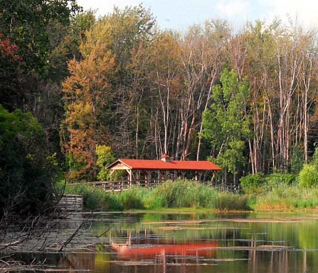 Covered Bridge 1