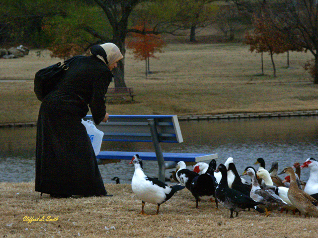 Feeding the Ducks