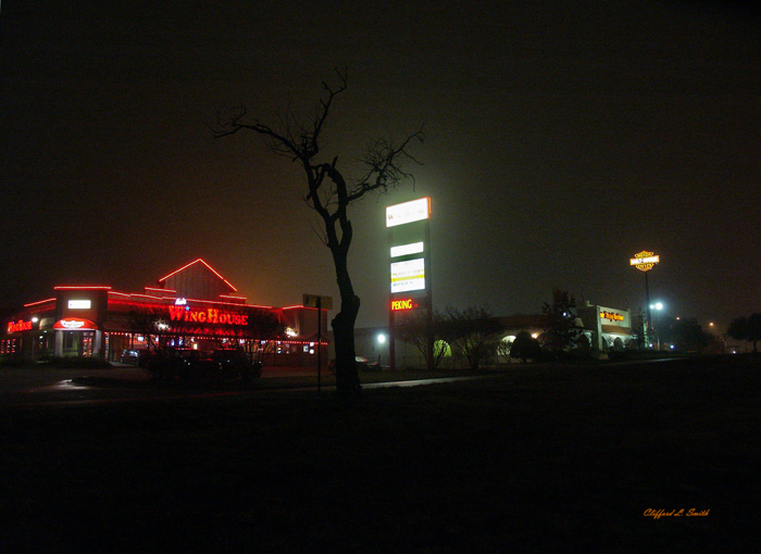 Chinese Cuisine and Buffalo Wings
