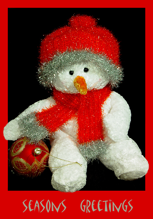 <br><b>A Plush Greeting</b><br><font=1>C107 Header</font>