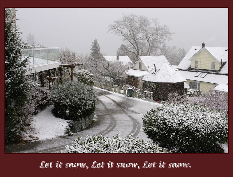 <b>8th Place </b><br>Let it Snow (*)<br>by Ann Chaikin