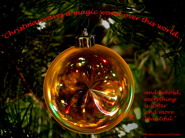 Capture the magic!
