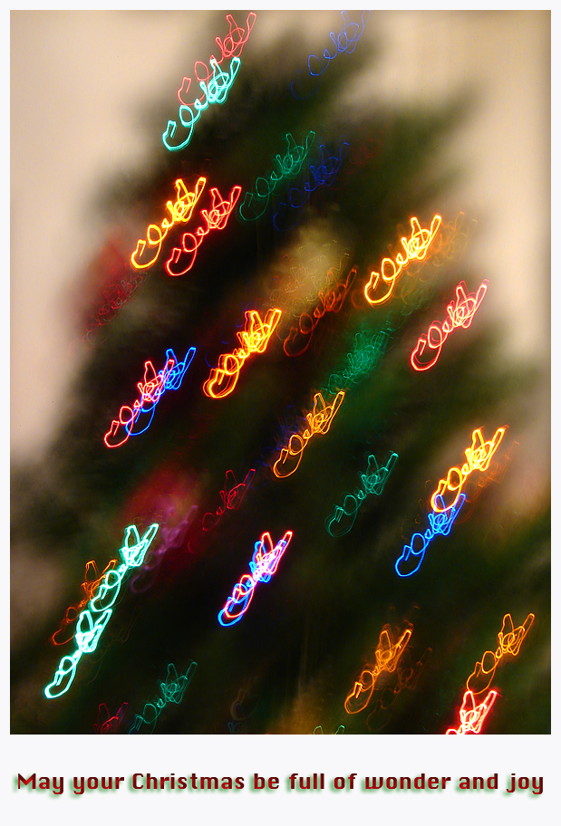 Wonder Full Christmas