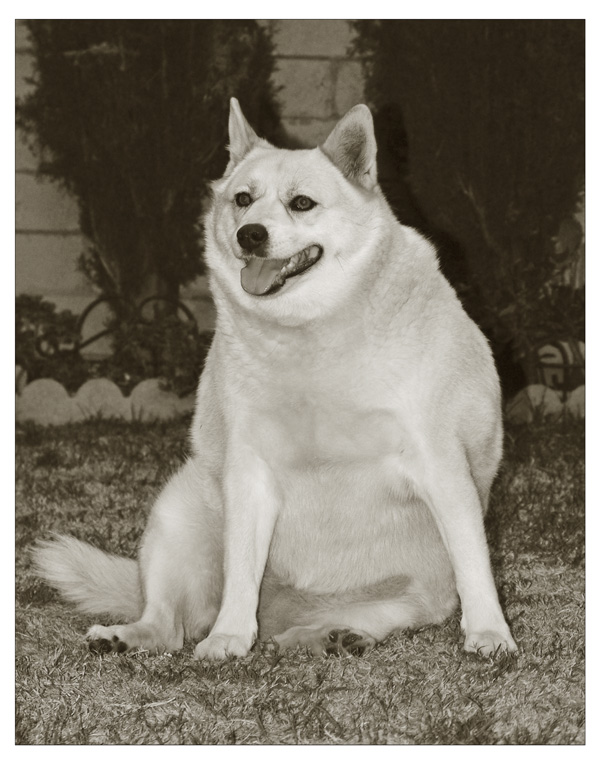 Dont Hate Me Because Im Beautiful  <br> by mexiwolf
