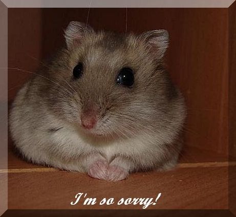 Im so sorry! *<br>by Patty88
