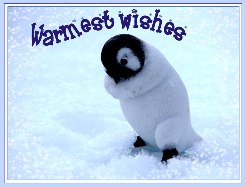 Baby, Its Cold Out Here!*<br>by parietalpenguin