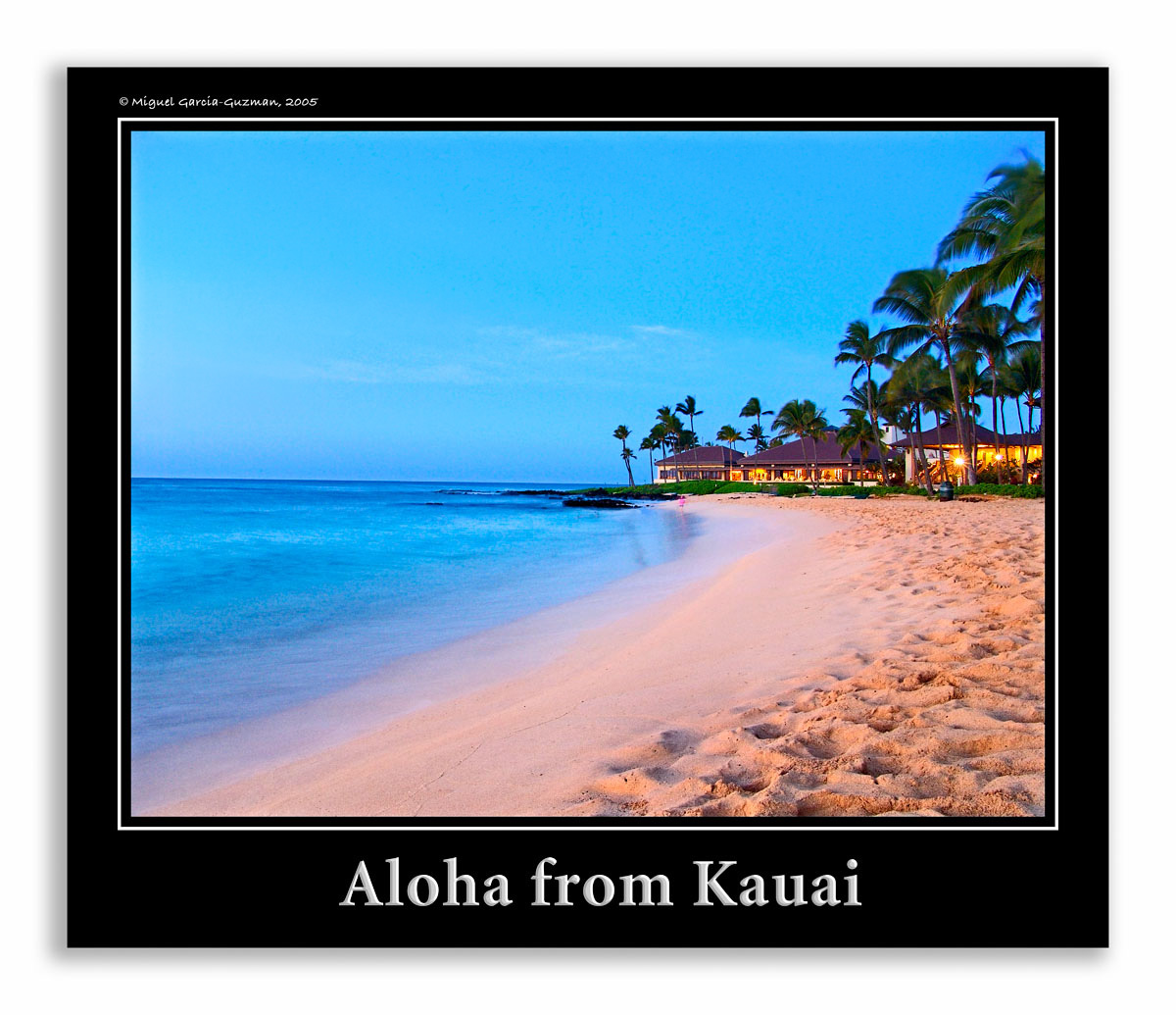 Aloha by Miguel Garcia-Guzman