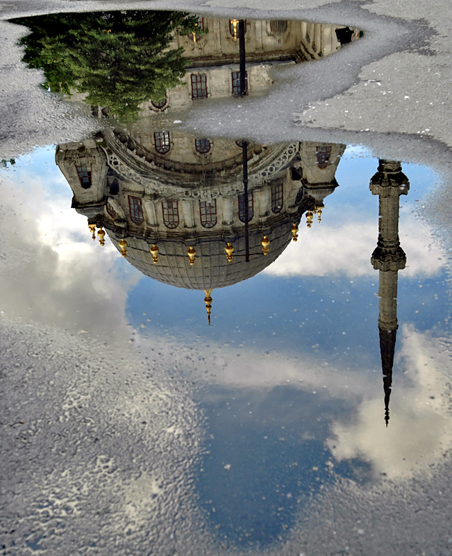 <b>2nd Place [Tie]</b><br>Looking Down and Up