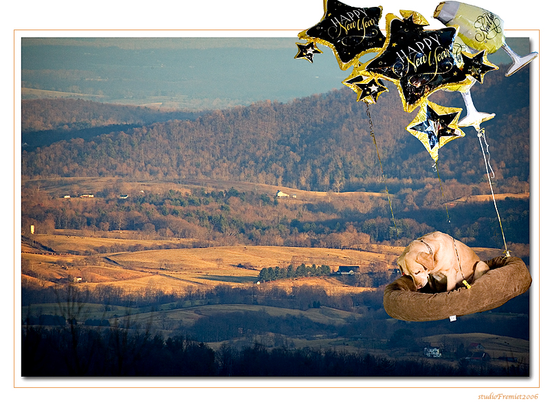 Happy New Year!!<br>Fremiet<br>Changed my mind, this is OK to vote on