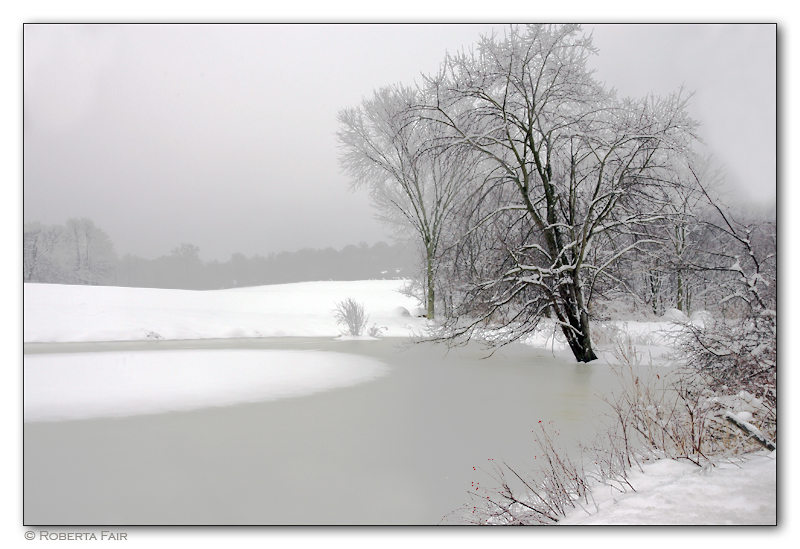 Seward Farm in Winter<br>by Roberta Fair