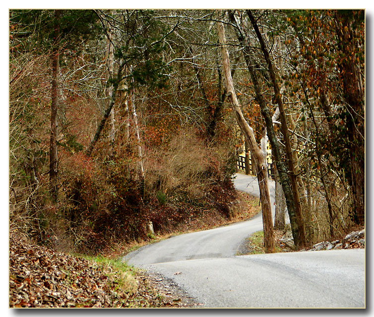 Pauls Mill Road