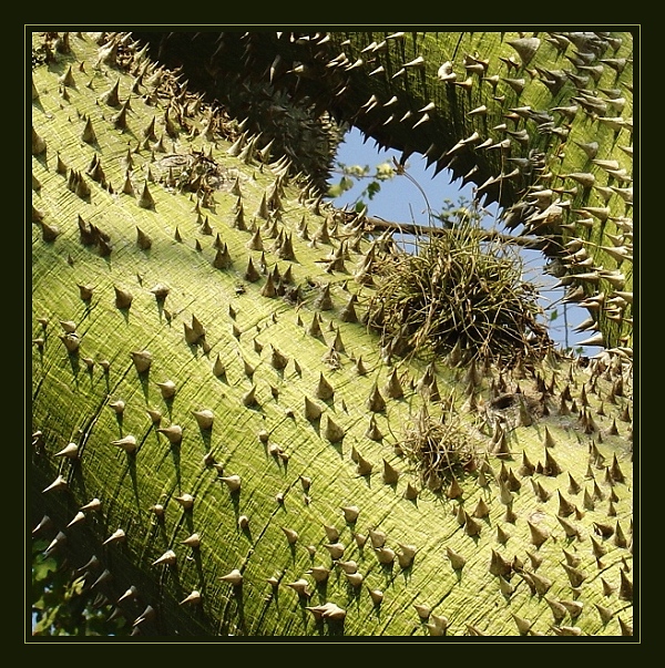 Ouch!<br>by Bev Brink