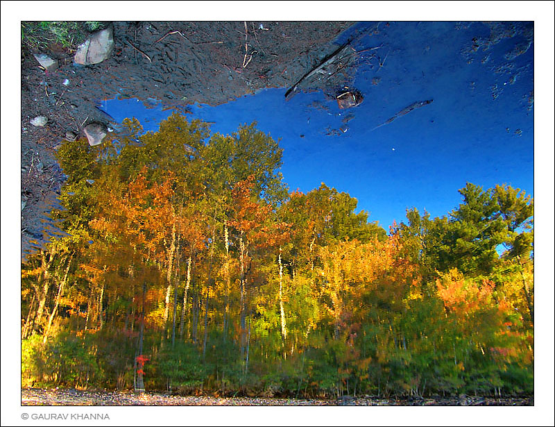 <b>7th Place [Tie]</b><br>Depth of color