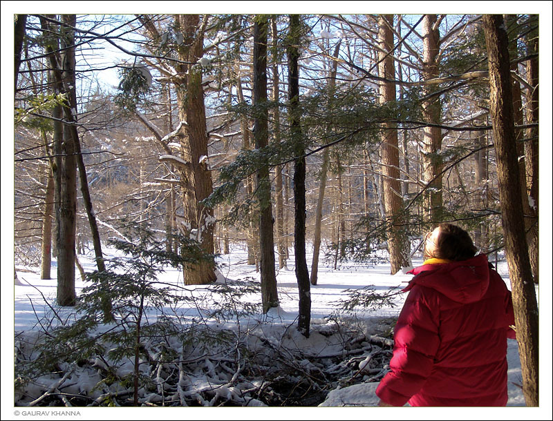 * Discovering a winter wonderland