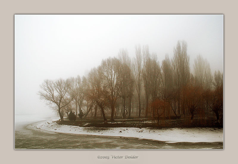 <b>5th Place [Tie]</b><br>mist <br> by Victor D