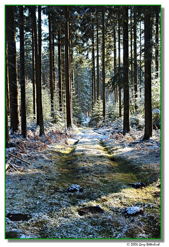 The Path