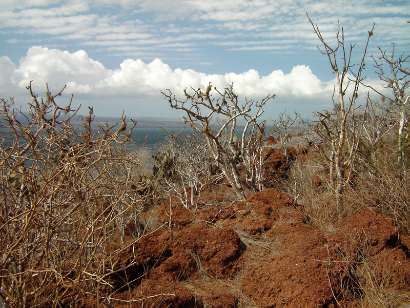 GalapagosRabidoIsland2