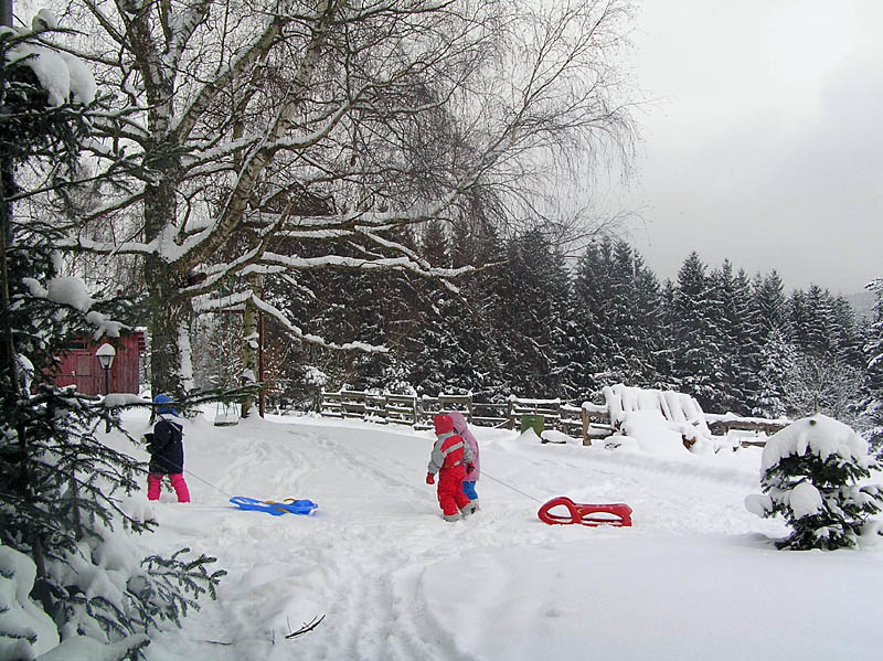 Winter 1 *