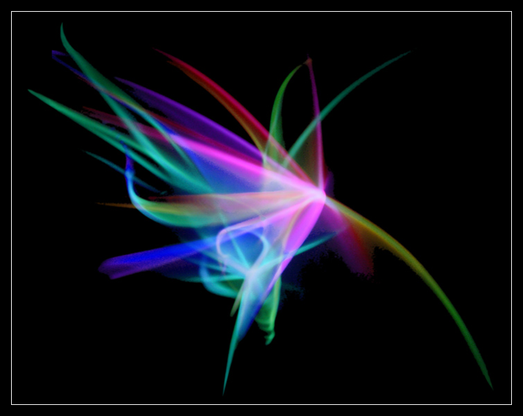 <b>3rd Place</b><br>The Flurry Flower