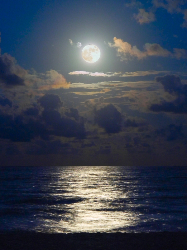 <b>4th Place</b><br>Bad Moon Rising*<br>by Justin Miller