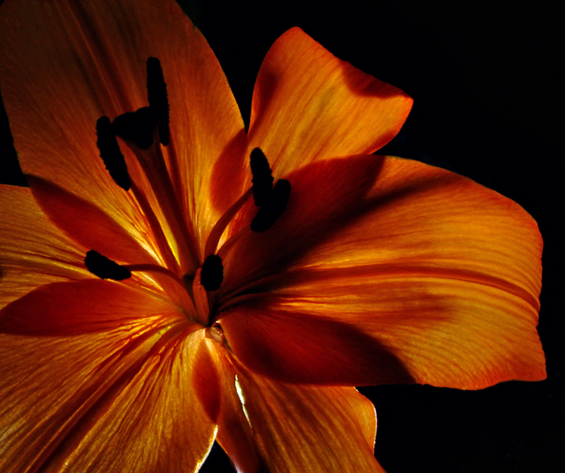 Inner Glow