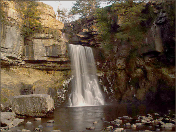Thornton Force * <br> by OurColin