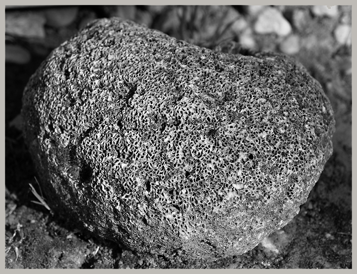 <b><font color=white>* Porous</font></b><br>by SJShooter
