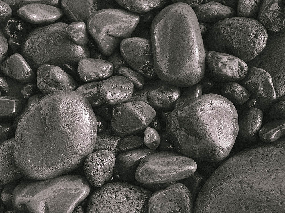 <b> 2nd Place </b><br>wet rocks<br>by mexiwolf