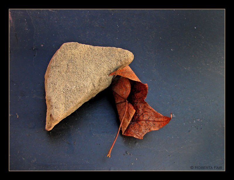 <b>Tie 8th Place</b><br>One Rock One Leaf<br>by Roberta Fair