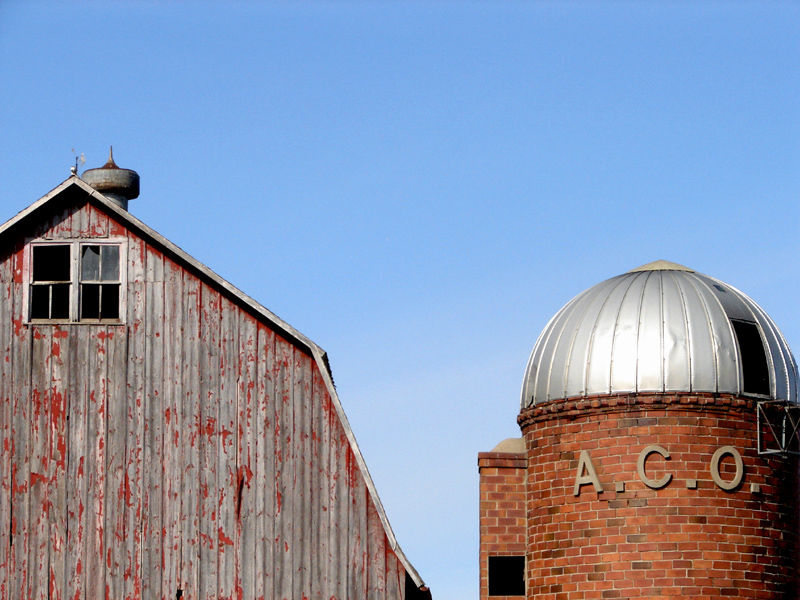 <b>6th Place [tie]</b><br>A.C.O.*<br> by Pearl Devenow