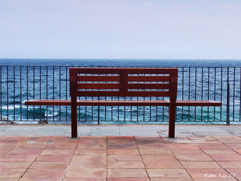 <b>7th place [tie]</b></br>Enjoy the Sea View by Pablo F.S.