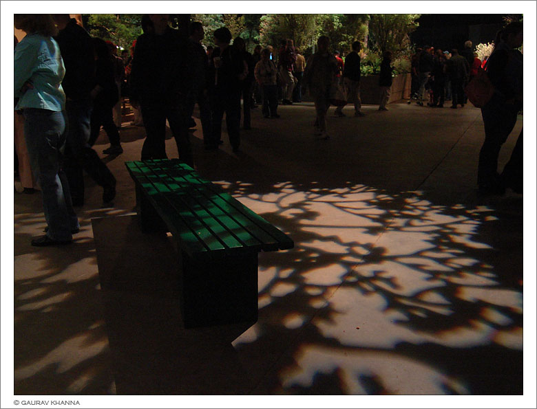 * Bench of Shadows