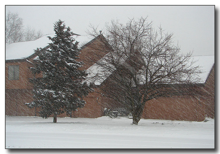 Its snowing<br> A Challenge Header Photo