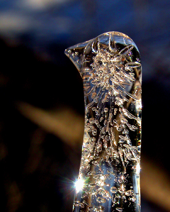 Crystal Chicken...